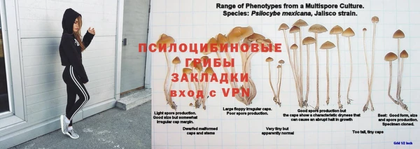 гидра Абдулино