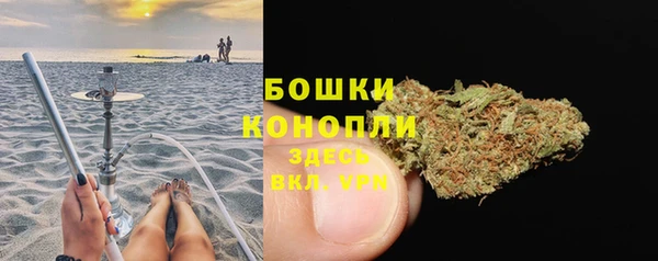 сатива Абинск