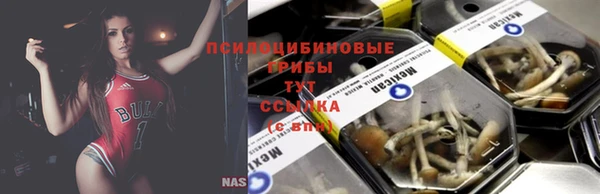 сатива Абинск