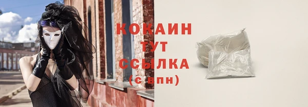 соль ск Алексин