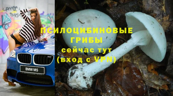 соль ск Алексин