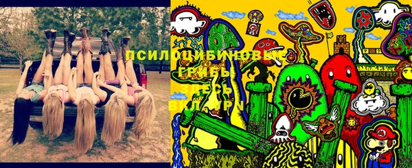 гидра Абдулино