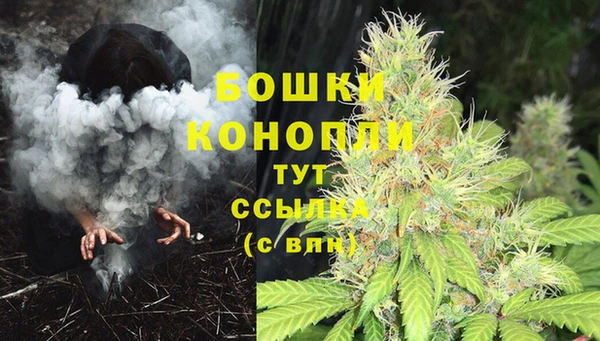 мдма Елизово